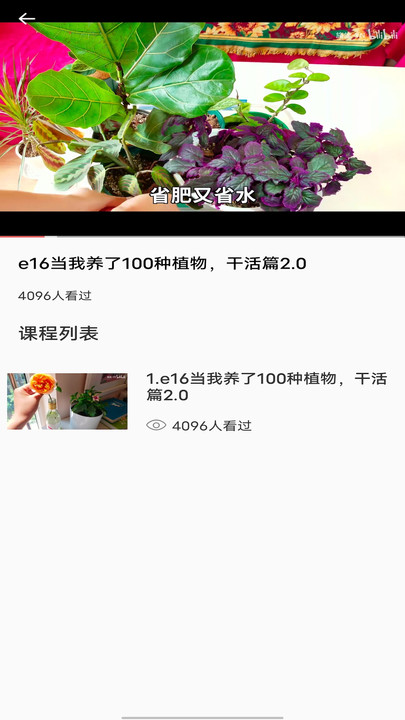 拍照识别植物弛意版