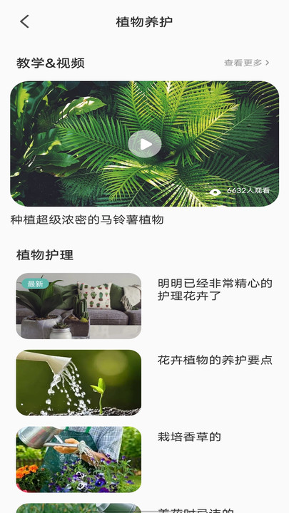 拍照识别植物弛意版