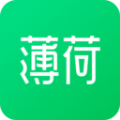 薄荷健康减肥最新版