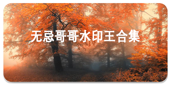 无忌哥哥水印王