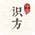 中医识方2023