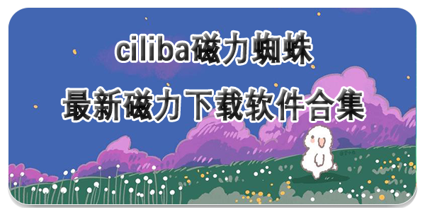 ciliba磁力蜘蛛