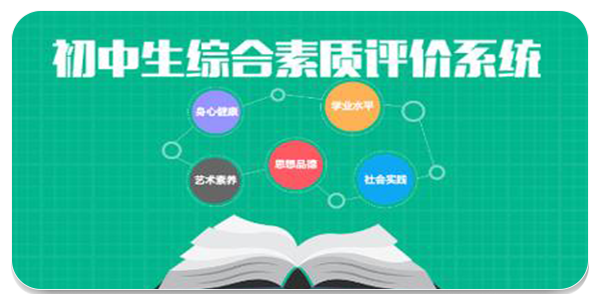 掌上综素