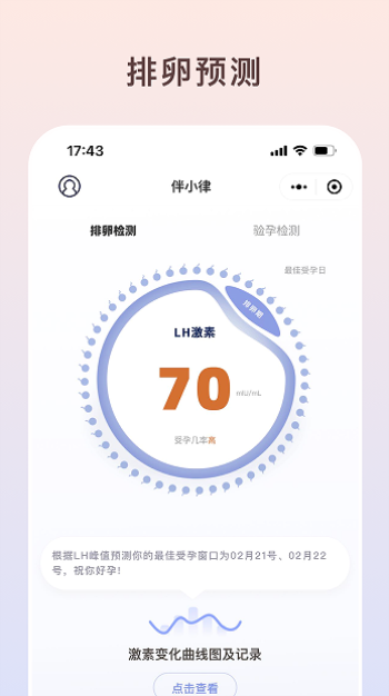 伴小律