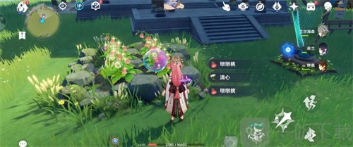 原神柔灯铃在哪里采集最多 柔灯铃快速采集路线介绍