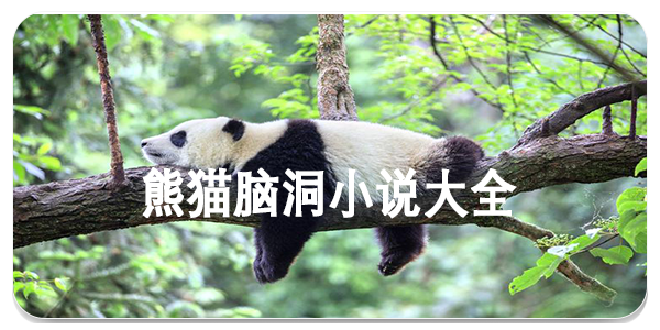 熊猫脑洞小说