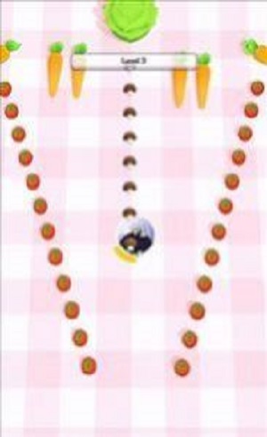 冰球洞手机版