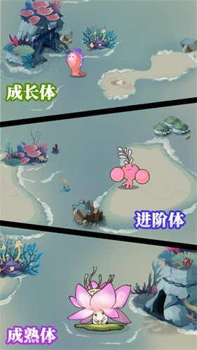 森林中的小女巫