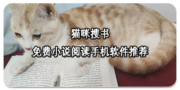猫咪搜书