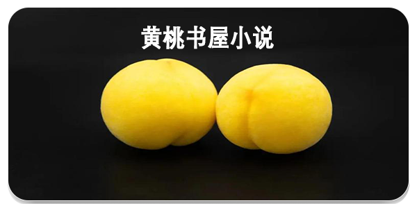 黄桃书屋小说