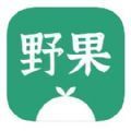 野果阅读追书app