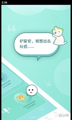 宠猫翻译