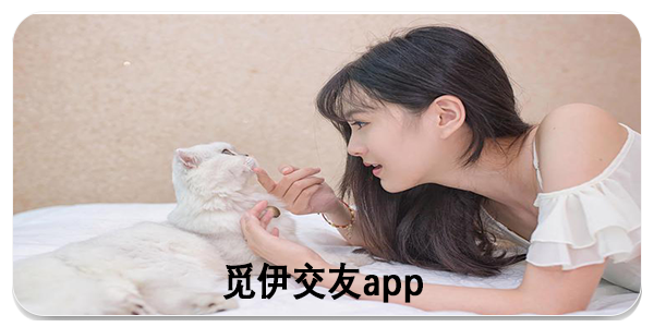 觅伊