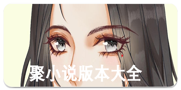 聚小说