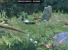 逆水寒手游洞庭问剑怎么打 洞庭问剑打法攻略