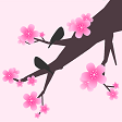 桃花恋app
