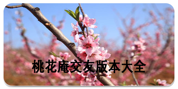 桃花庵交友