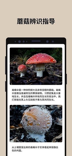 蘑菇识别扫一扫软件