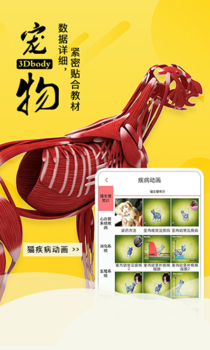 3dbody宠物新版本