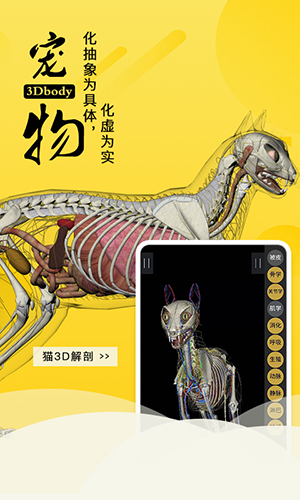 3dbody宠物新版本