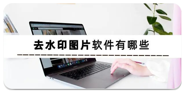 皮皮去水印