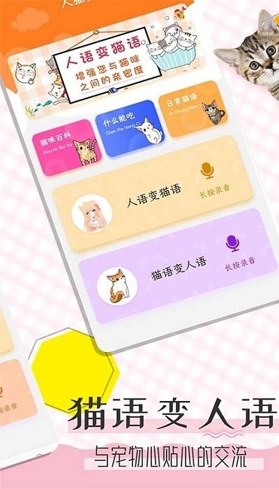 猫语翻译宝