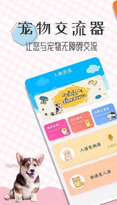 猫语翻译宝
