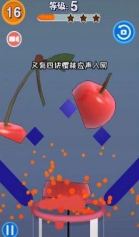 切水果榨汁机