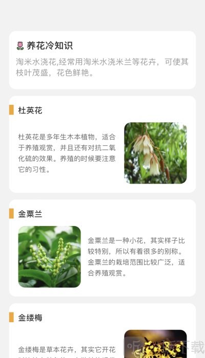 百花悦看