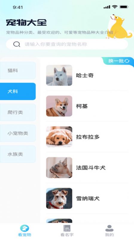 熊猫爱看软件
