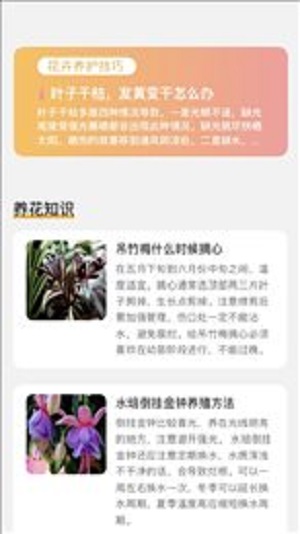 百花悦看手机版