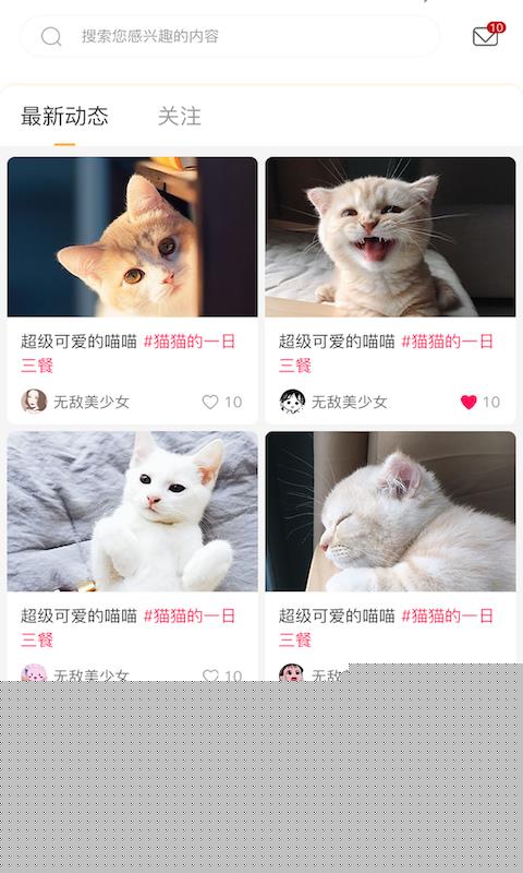 云养猫