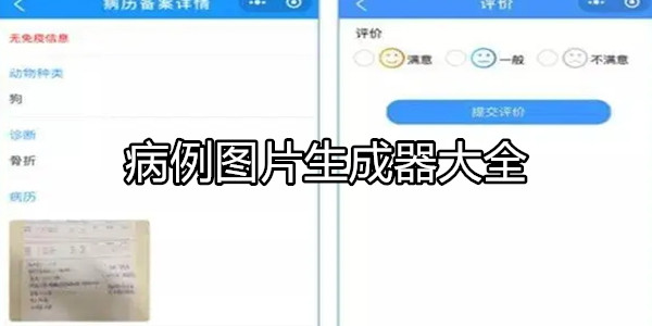 病例图片生成器