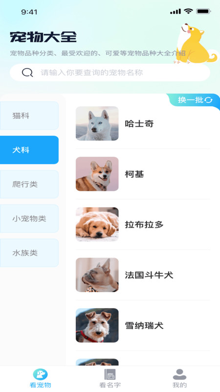 熊猫爱看最新版