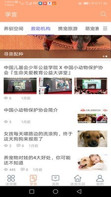 迷宠圈