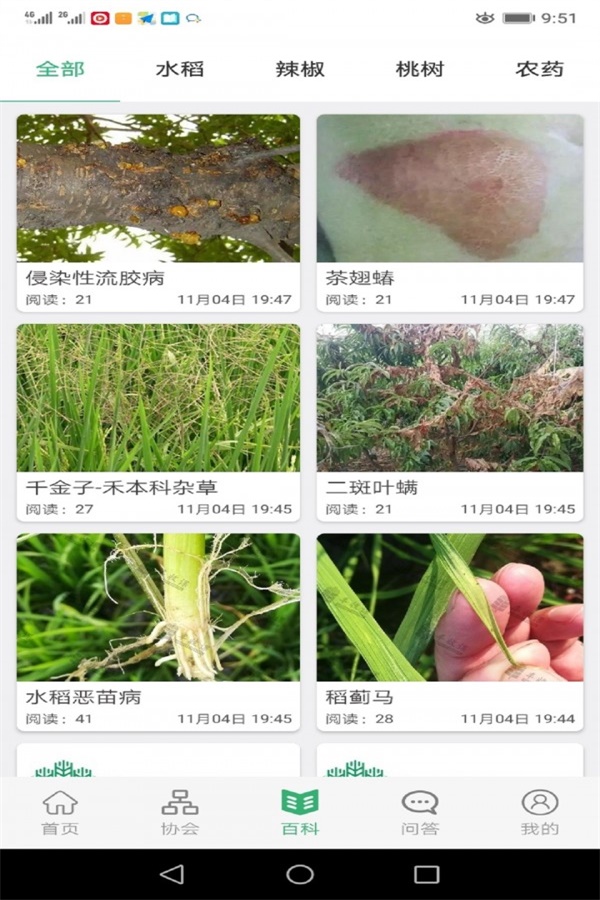 丰收课