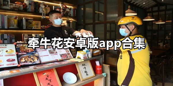 牵牛花