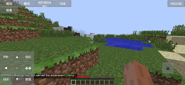Minecraft java版