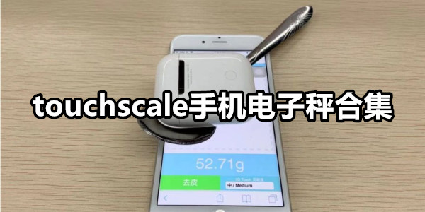 touchscale