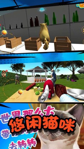极速流浪猫免费版