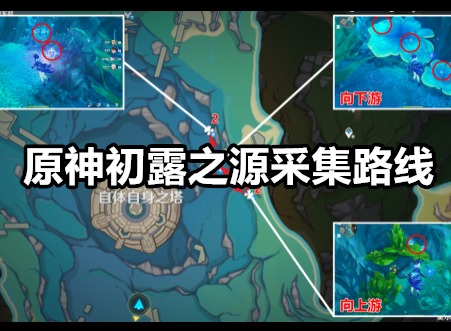 原神初露之源位置在哪 原神初露之源采集路线