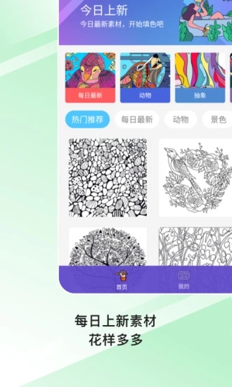 paint数字填色