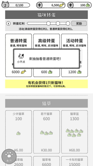 猫咪真的超可爱最新版