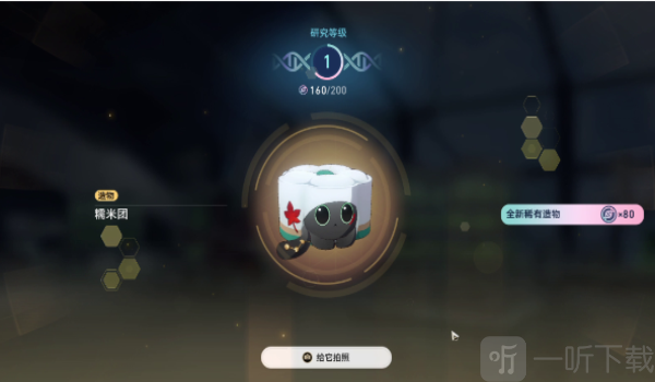 崩坏星穹铁道1.6异宠拾遗培育任务怎么做 崩坏星穹铁道1.6异宠拾遗培育任务攻略