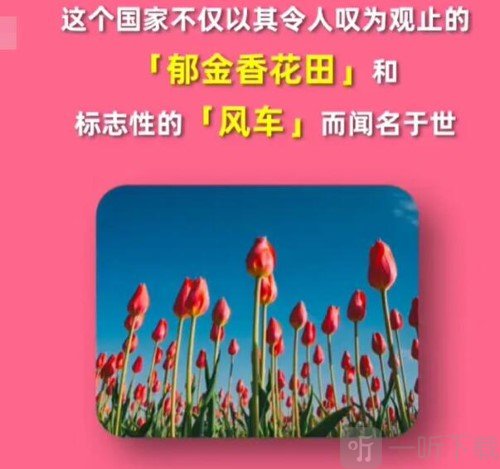淘宝大赢家1.3日正确答案2024 问题解析介绍