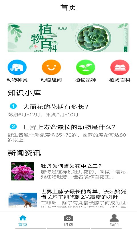 植物品鉴