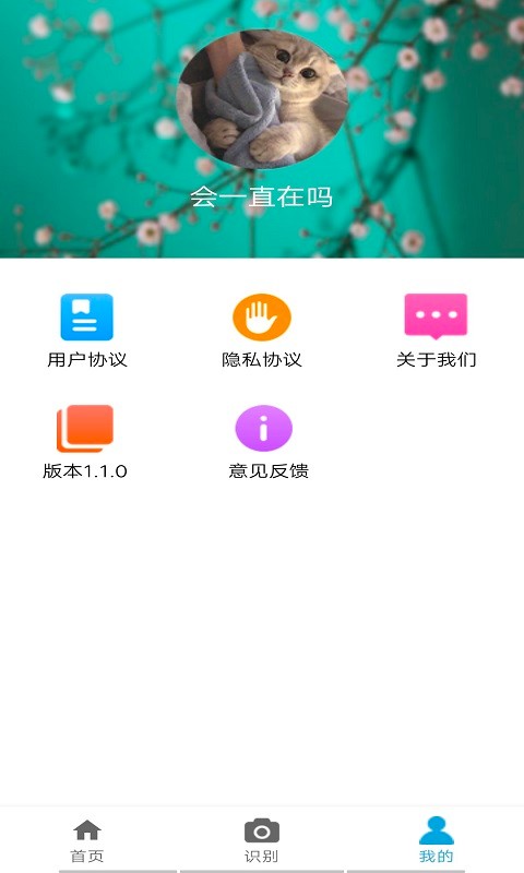 植物品鉴