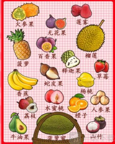 汉字找茬王开心水果汇怎么过 汉字找茬王开心水果汇让各种水果归位攻略
