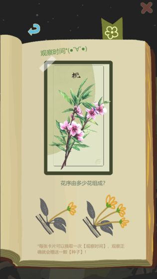 老农种树免费版