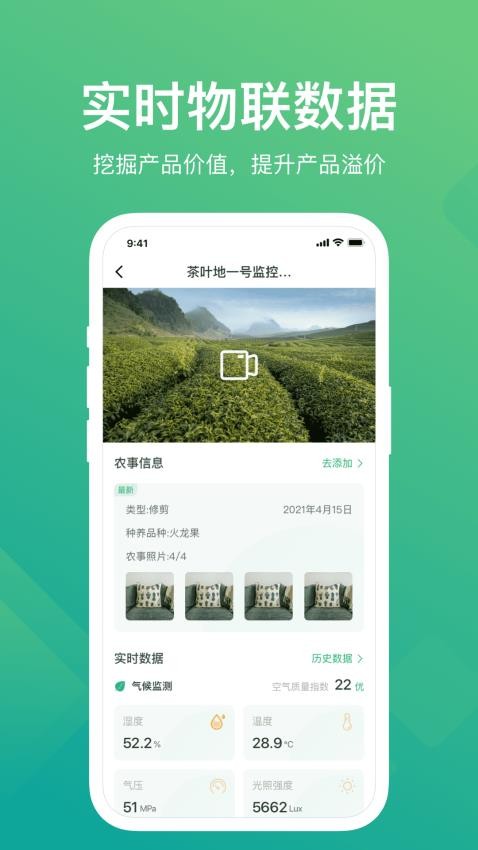 云上观展